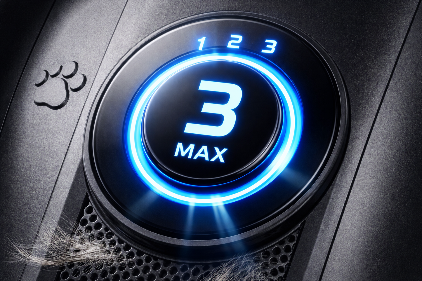 🐾 Calm Grooming at Home — No Stress, No Fur Everywhere