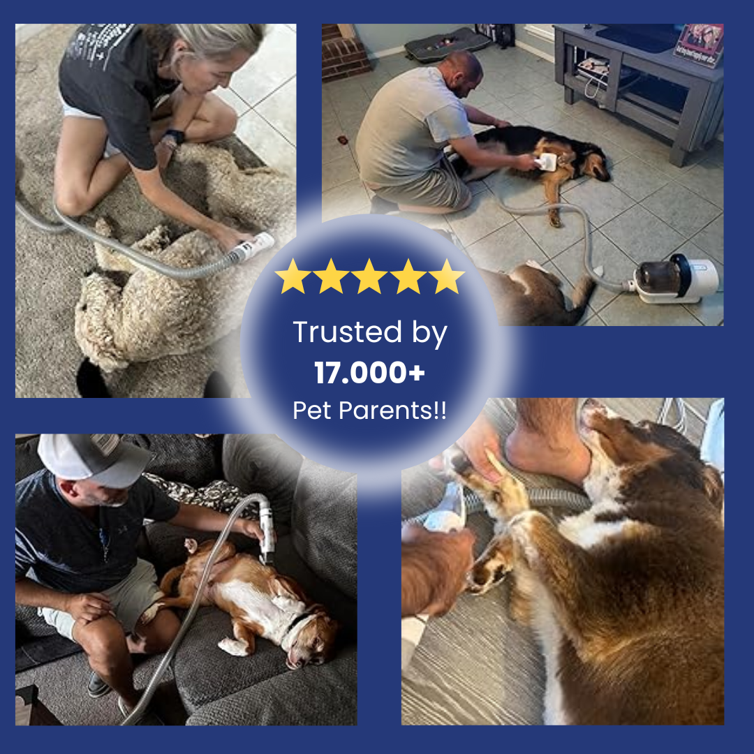 🐾 Calm Grooming at Home — No Stress, No Fur Everywhere